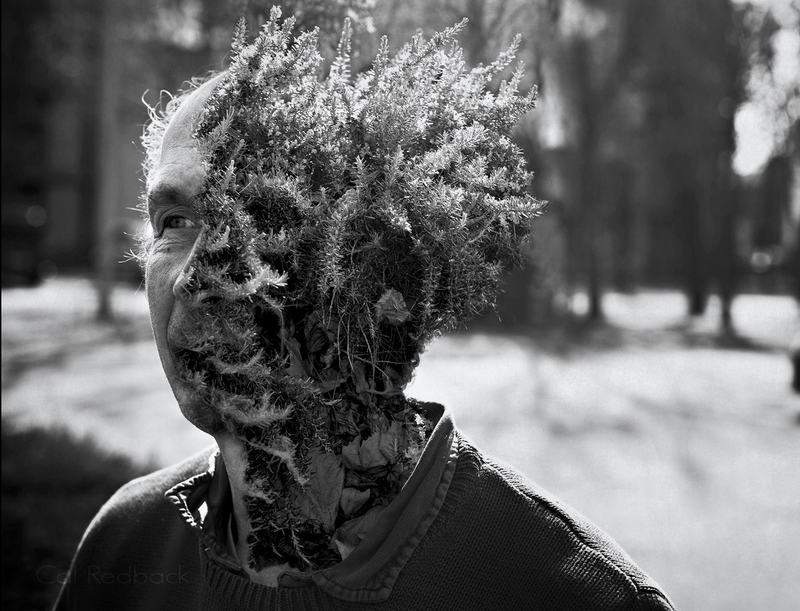 Illustration for article titled Creepy photoshopped portraits of human-plant hybrids